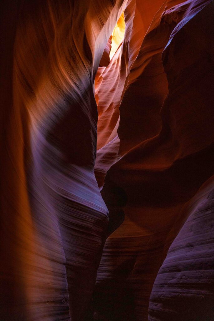 Our Great National Parks Adam Steinbach